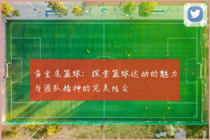 黄金虎篮球：探索篮球运动的魅力与团队精神的完美结合