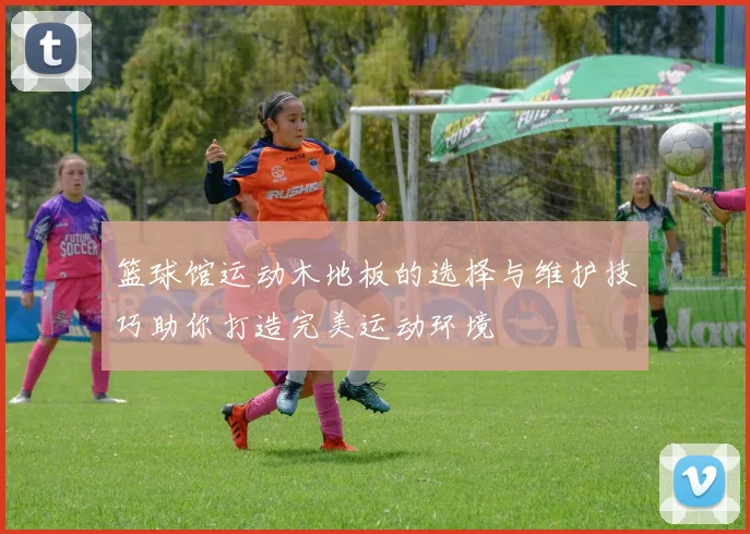 篮球馆运动木地板的选择与维护技巧助你打造完美运动环境