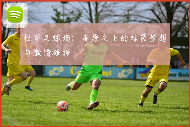 拉萨足球场：高原之上的绿茵梦想与激情碰撞