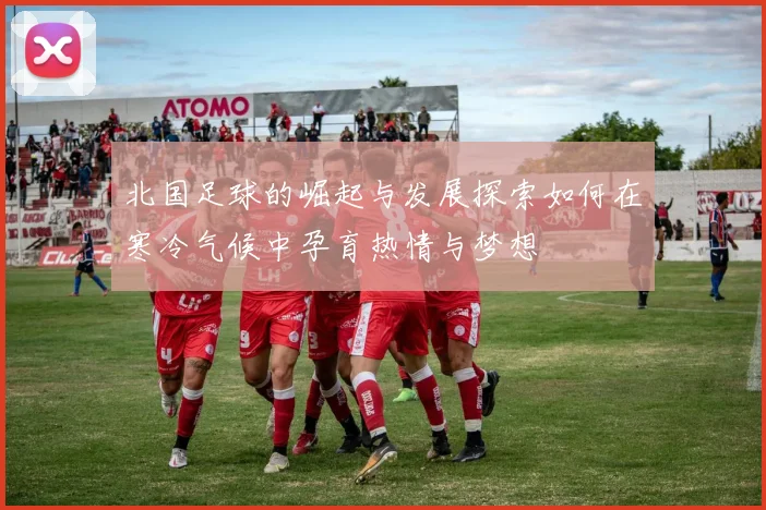 北国足球的崛起与发展探索如何在寒冷气候中孕育热情与梦想